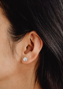 Earring Certificate ED480